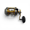 DAIWA シーライン 石鯛